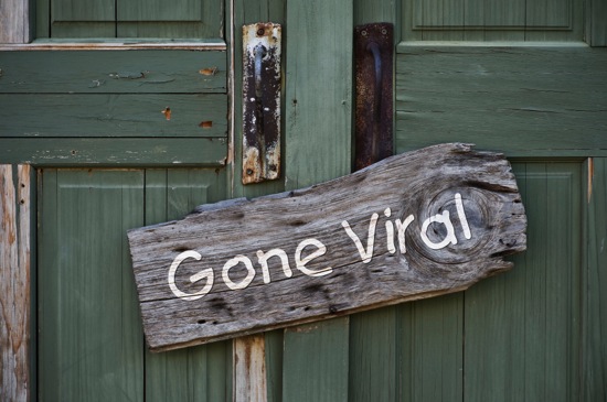 avoid making viral videos.jpg Avoid making viral videos
