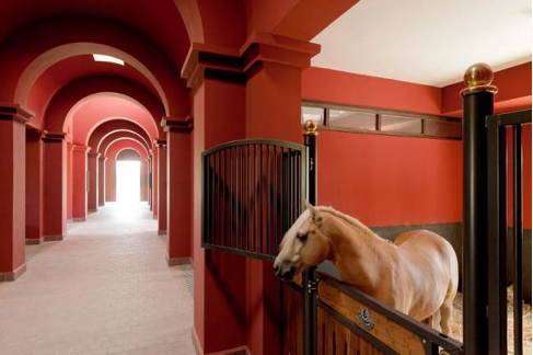 selman-horses-events