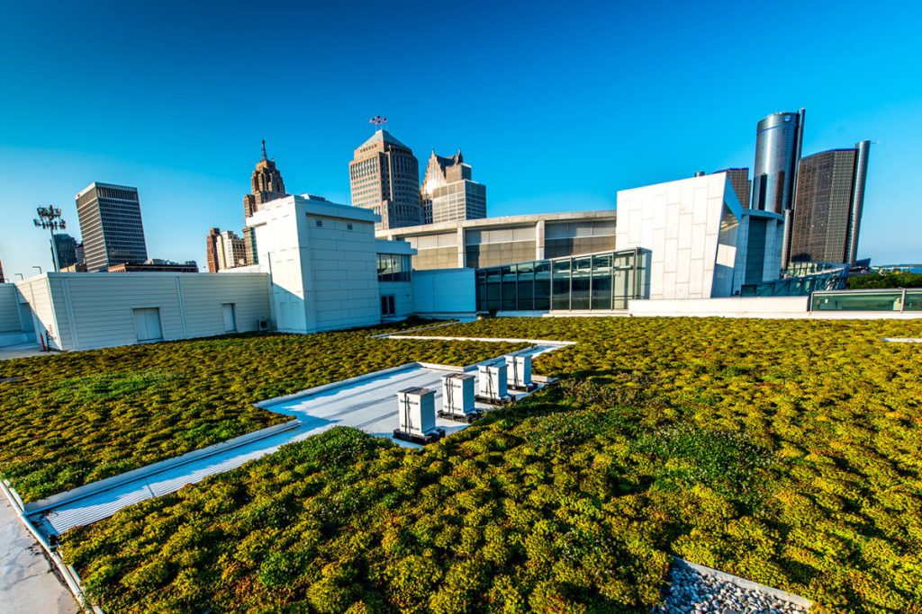Green roof of Huntington Place