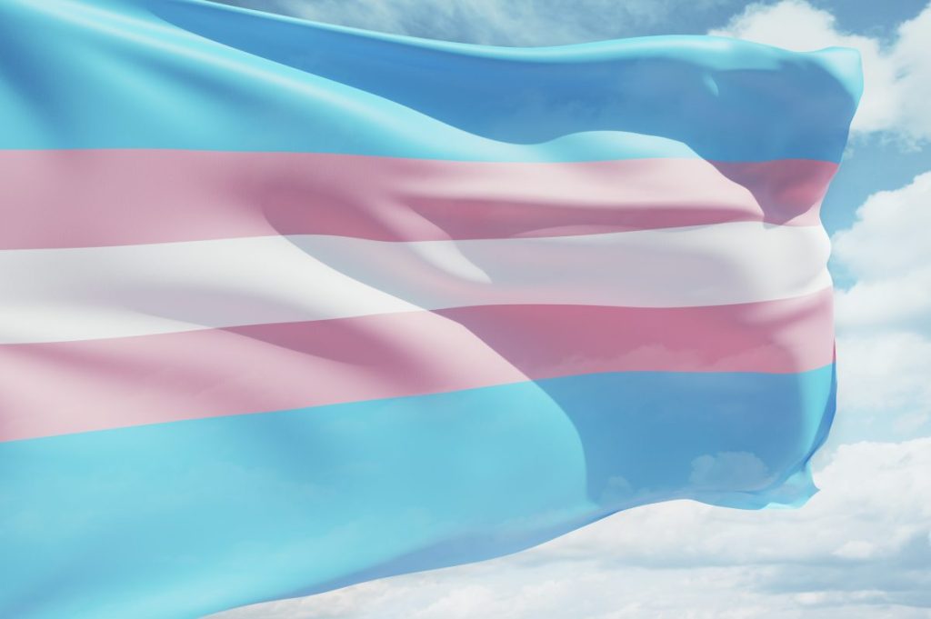 Transgender flag waving in the wind against a cloudy sky.